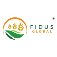 Fidus Global logo - Similar company to Fídus Global