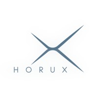 HORUX Medical logo - Similar company to Sedes Consultoría