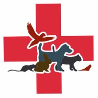 Animal Hospital and Dental Clinic logo - Similar company to Central California Spca
