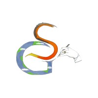 Fundación Sketch Of Geology
