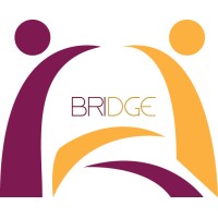 Bridge Billing Services LLC logo - Similar company to Remote Billers