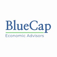 BlueCap Economic Advisors, LLC logo - Similar company to Smc Data Systems