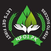 Digital Delight Solutions