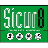 SicurOtto Srl logo - Similar company to Risolvo Software Per Hse