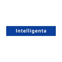 Intelligenta Europe logo - Similar company to Your Headway As | Scale With Confidence