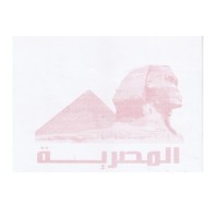 المصريه الدوليه logo - Similar company to El-Ahram Egc