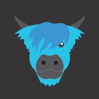 BlueCoo Creative logo - Similar company to Omnispear Web & Network Solutions, Inc.