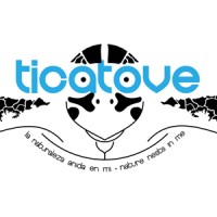 Ticatove, Inc.