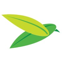The Baya Company logo - Similar company to Aakasa
