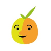 Netfruit SPA logo - Similar company to Ingesmart Tech Solutions