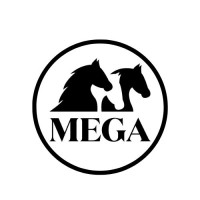 The Mega Companies