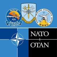 NATO AWACS logo - Similar company to Data Machine Intelligence
