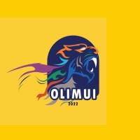 OLIM UI logo - Similar company to Codenito
