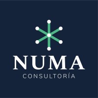 Numa Consultoría logo - Similar company to Credible Planning