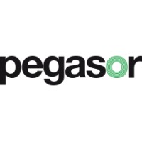 Pegasor Oy logo - Similar company to Move Analytical
