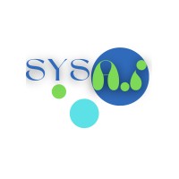 SYS Ai logo - Similar company to Techwards Pakistan