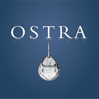 Ostra logo - Similar company to Fbk Consulting