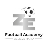 ZE Football Academy logo - Similar company to Steelia