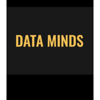 Data Minds logo - Similar company to Datamind Solutions