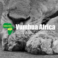 Vumbua Africa logo - Similar company to Cappabl