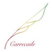 Carrecaile logo - Similar company to Hackazouk Inc