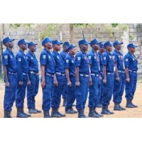 Ensure Security Services logo - Similar company to Thabzo Security Services