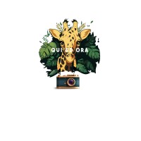 QUI ED ORA logo - Similar company to Dino Training