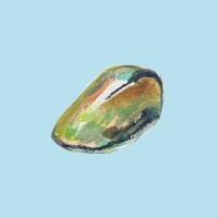 Abalone Creative Consulting logo - Similar company to Acacia Tree Farms