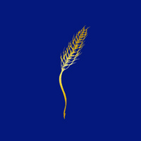Great Southern Wills logo - Similar company to Ethinos Australia