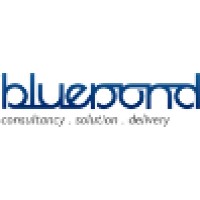 Bluepond Consultancy Services Pvt. Ltd. logo - Similar company to Bluepond
