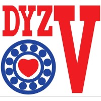 DYZV Bearings India Solutions logo - Similar company to Snk Rolling Bearings
