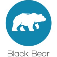 Black Bear Design Group Inc