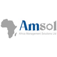 AMSOL Management Consultants logo - Similar company to Esgray Group