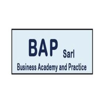 Business Academy and Practice (BAP Sarl) logo - Similar company to Palestinian Business Council