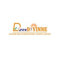 DIVINNE SBR INTERNATIONAL PRIVATE LIMITED logo - Similar company to Excel Fluorochem Private Limited