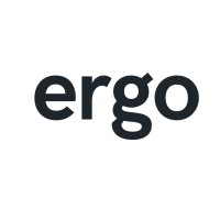 Ergo Projects Ltd logo - Similar company to Mapping Futures Ltd