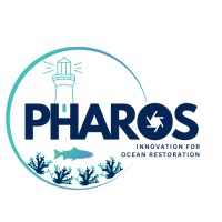 PHAROS logo - Similar company to Icorsa