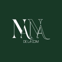 Nana de la Com logo - Similar company to Cf Tech