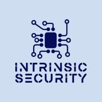 Intrinsic Security logo - Similar company to Intrinsic Security