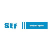 Tipografia Digitale Sef Srl logo - Similar company to Tipografia Marwan