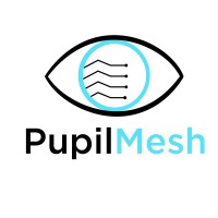 PupilMesh logo - Similar company to Rotary Electronics Pvt Ltd - India