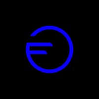 FO Group logo - Similar company to Hr Shapers