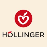 IMS Hollinger GmbH logo - Similar company to Limo De Janeiro B.V.