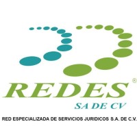 REDES S.A. de C.V. logo - Similar company to 2Bglobal