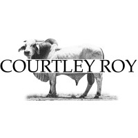 Courtley Roy logo - Similar company to Wholecap Group