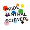 Pride Zentralschweiz logo - Similar company to Pink Cross