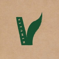 Vitamin V logo - Similar company to Sinless Gluten Free