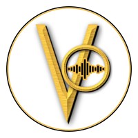 ASP VO logo - Similar company to Somo Studios