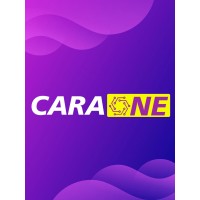CaraOne logo - Similar company to Fingerworks