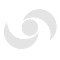 SierraBus logo - Similar company to Nizatour